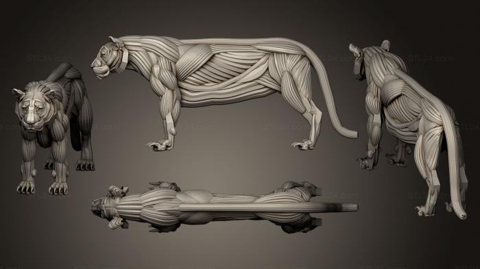 Статуэтки животных (Тигровый экорше, STKJ_0645) 3D модель для ЧПУ станка